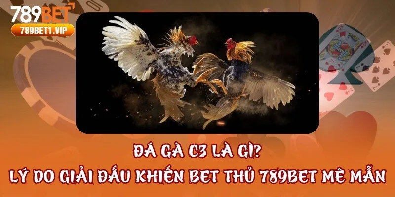 Đá Gà C3 Là Gì? Lý Do Giải Đấu Khiến Bet Thủ 789bet Mê Mẫn