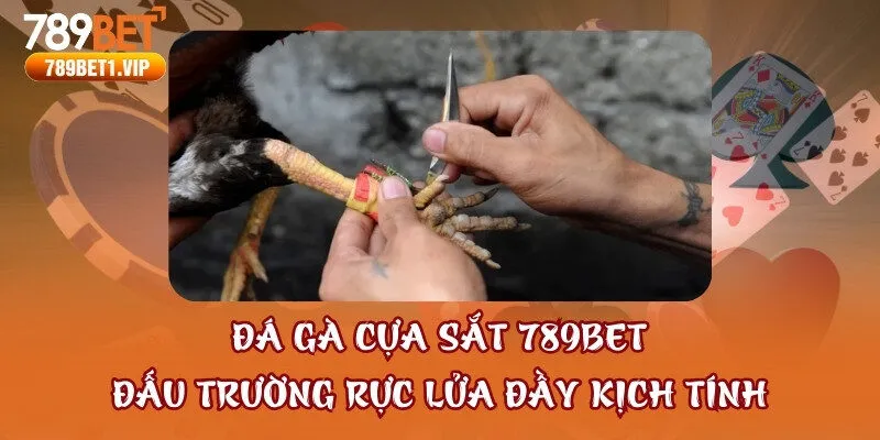 Đá Gà Cựa Sắt 789bet - Đấu Trường Rực Lửa Đầy Kịch Tính