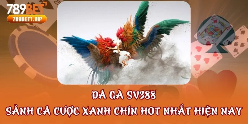 Đá Gà SV388 - Sảnh Cá Cược Xanh Chín Hot Nhất Hiện Nay