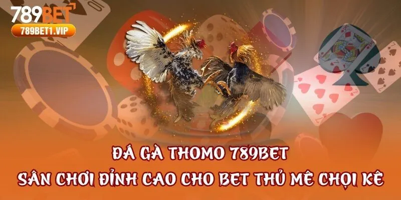 Đá Gà Thomo 789bet: Sân Chơi Đỉnh Cao Cho Bet Thủ Mê Chọi Kê