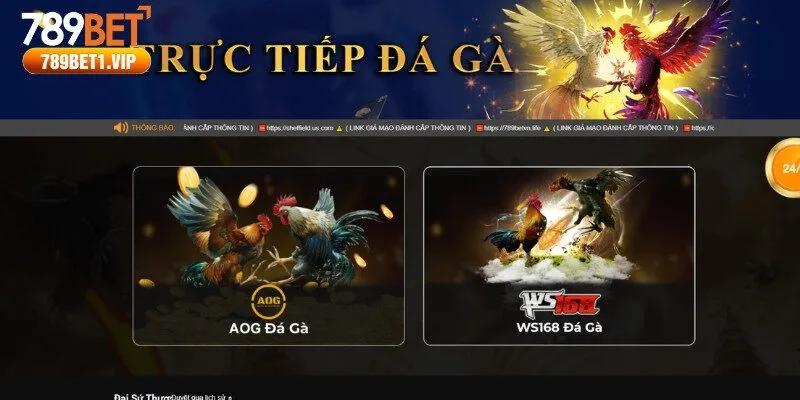 Đá gà trực tiếp kịch tính